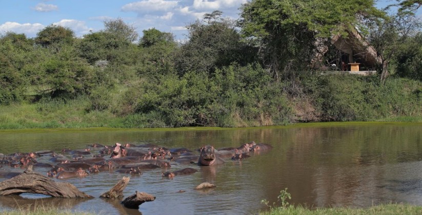 Grumeti Serengeti Tented Camp (10)