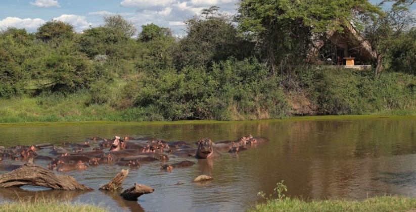 Grumeti Serengeti Tented Camp (3)