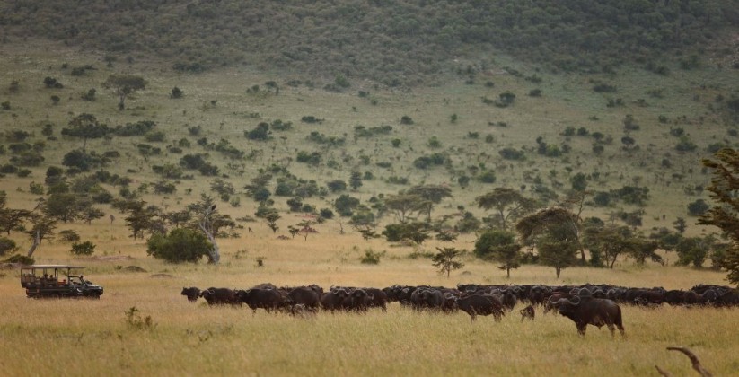 Kliens Camp Serengeti (18)