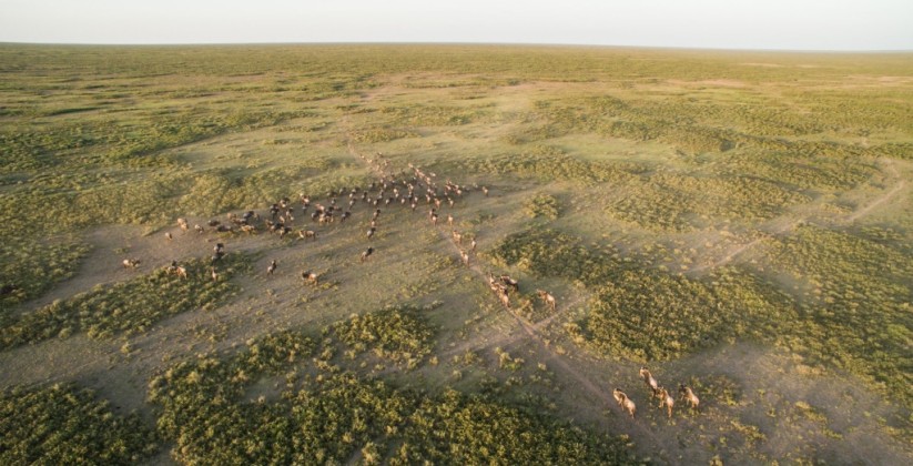 Kliens Camp Serengeti (3)