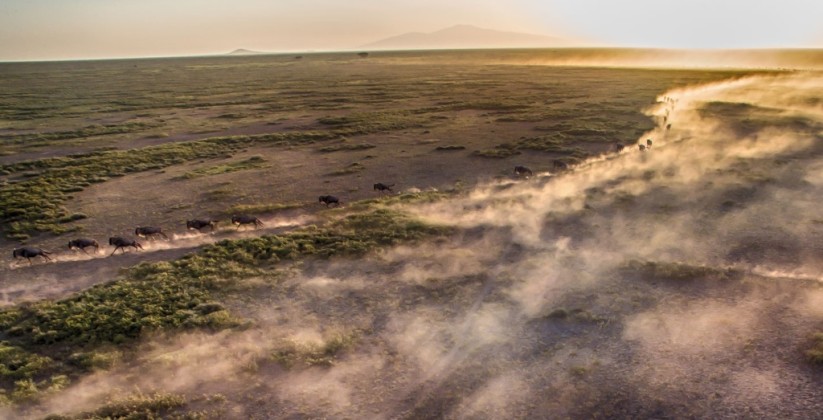 Kliens Camp Serengeti (34)