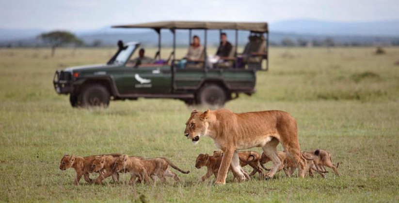 lake manyara tree lodge (1)