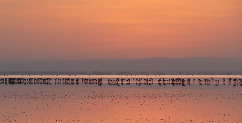 Lemala Manyara Tented Camp (16)