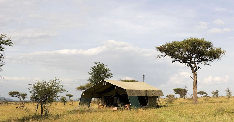 Ndutu Under Canvas (1)