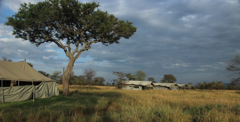 Ndutu Wilderness Camp (2)