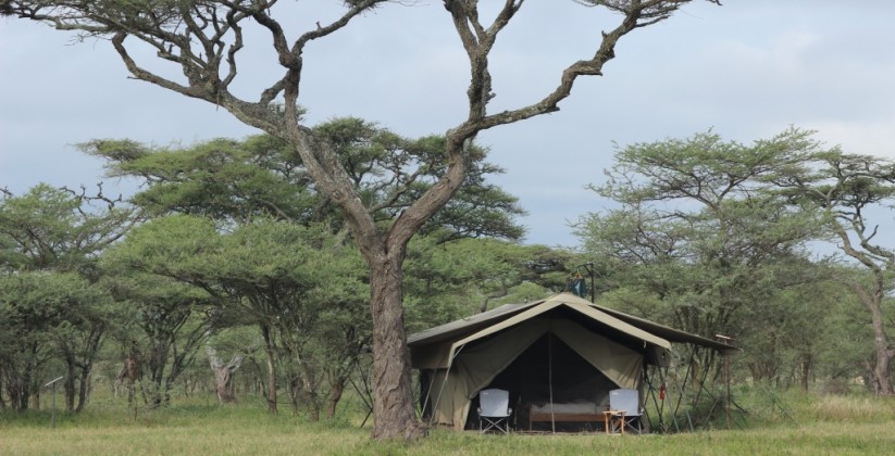 Ndutu Wilderness Camp (4)