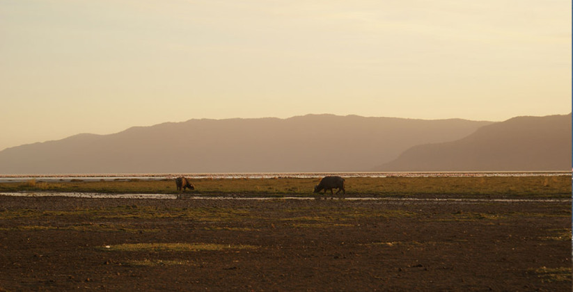 Migunga Tented Camp – Lake Manyara (6)