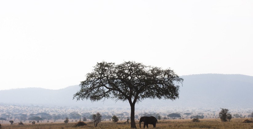 Kubu Kubu Tented Camp (2)