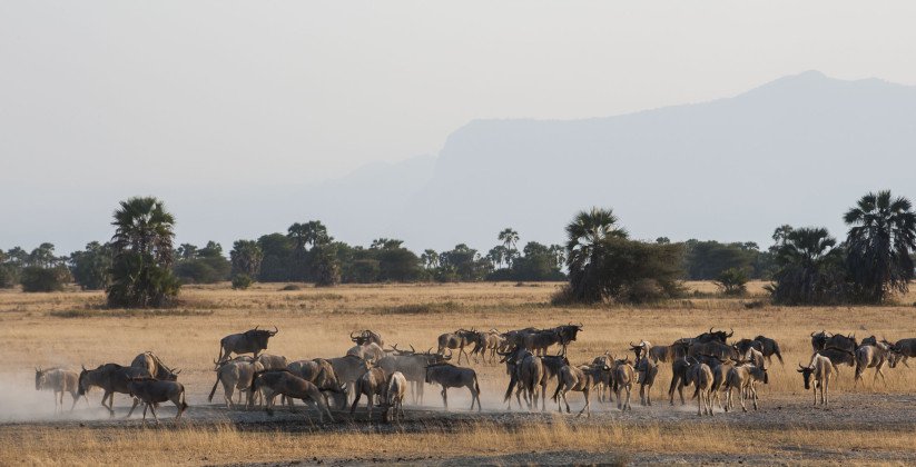 Kubu Kubu Tented Camp (3)